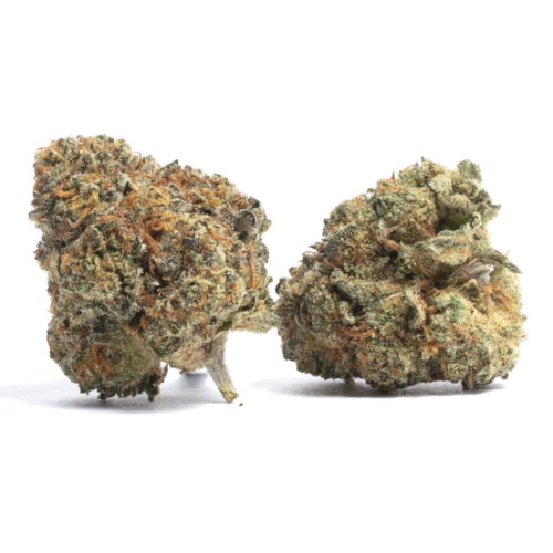 Exclusive White Cherry 3.5grams
