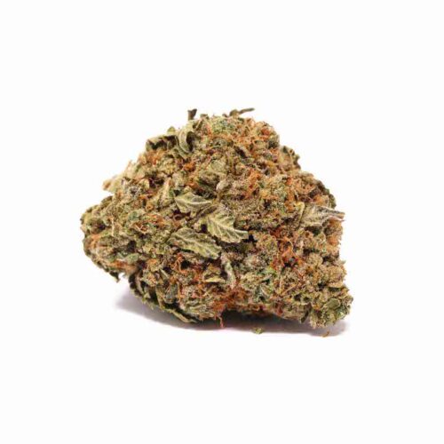 Hindu Kush