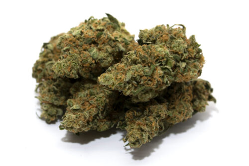 Blueberry Haze x Green Crack