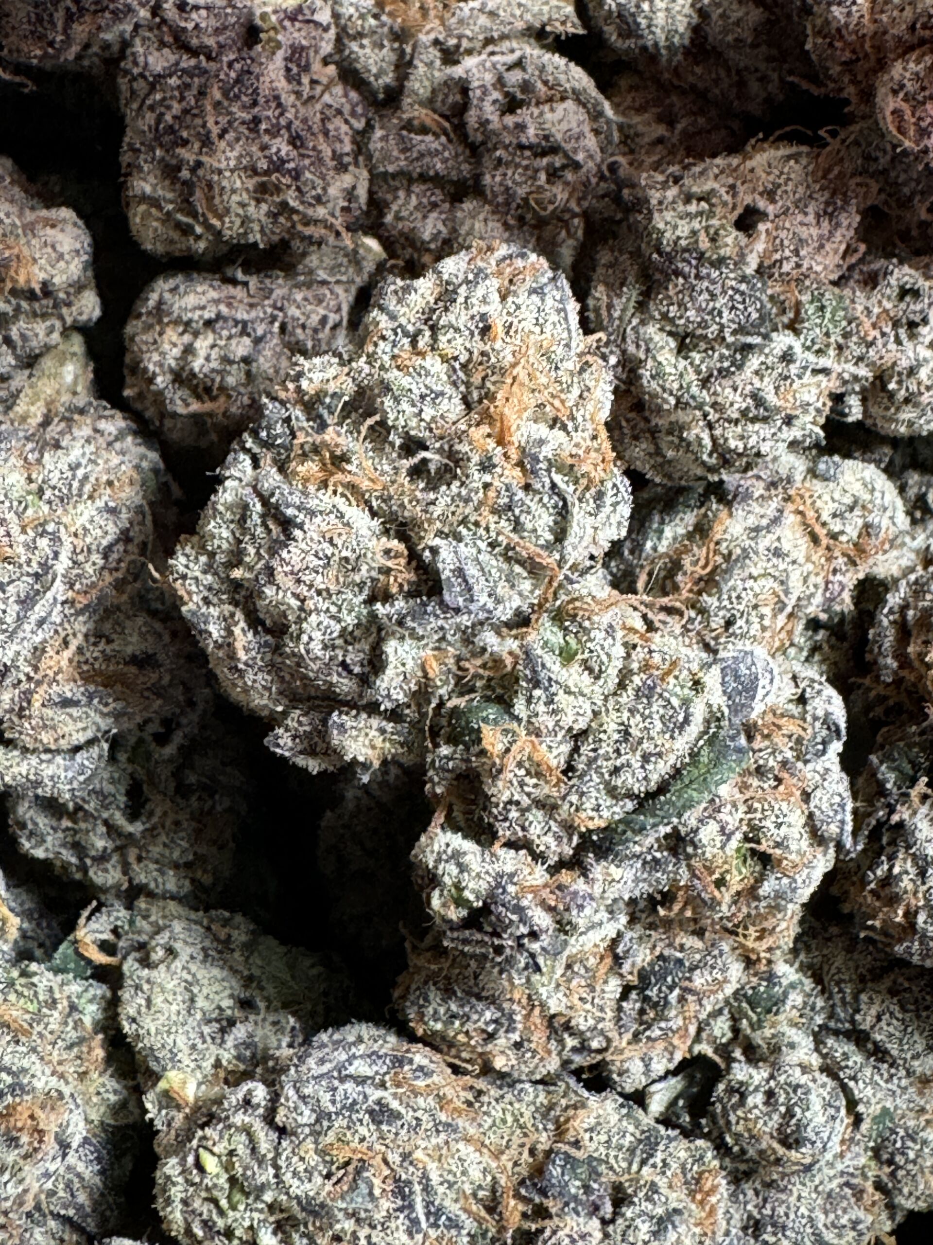 Exclusive Lemon Cherry Galactic