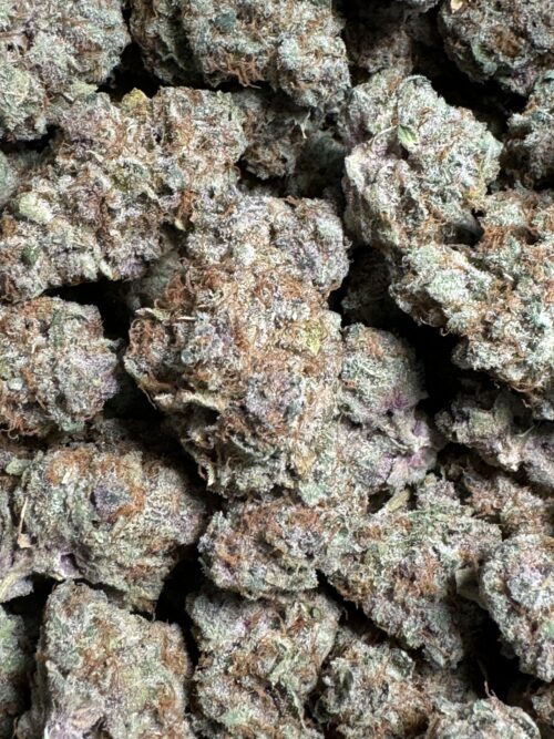 Pink-Paradise3