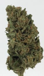 Premium Jack Herer