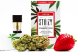 Stiiizy Strawberry Cough .5g THC POD