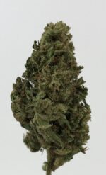 Exclusive XJ-13 3.5gram