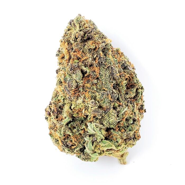 Biscotti Sherbet