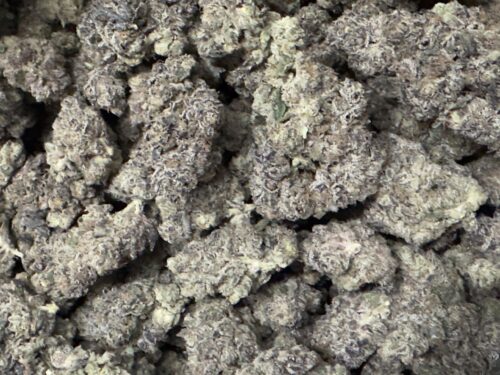 Exclusive Caveman 3.5g