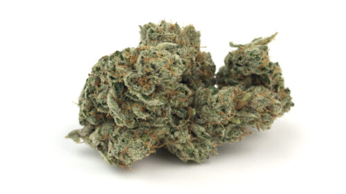 HashBerry