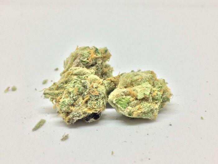Doc Delight