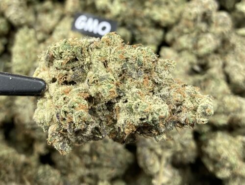GMO Cookies