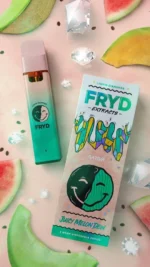 Fryd Juicy Melon Dew 2gram Disposable