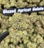 Mary's Flame Glazed Apricot Gelato 3.5g