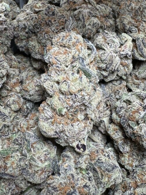 Exclusive Glitter Bomb 3.5g