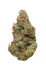 Exclusive Lamb's Bread 3.5gram