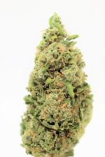 Exclusive NYC Sour Diesel 3.5 grams