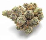 Exclusive Hydro Dosido 3.5gram