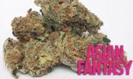 Exclusive Asian Fantasy 3.5grams