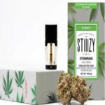 Stiiizy Strawberry Cough Live Resin 1g THC POD