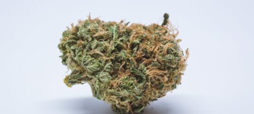 Ghost OG