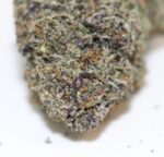 Exclusive Bacio 3.5gram