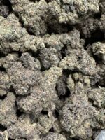 Exclusive Bela Lugosi 3.5grams