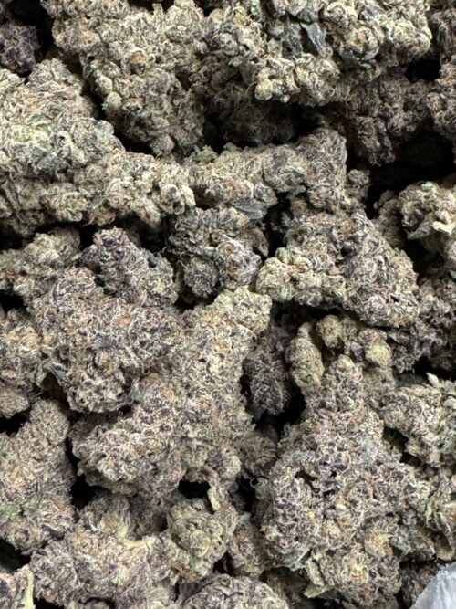 Exclusive Bela Lugosi 3.5grams