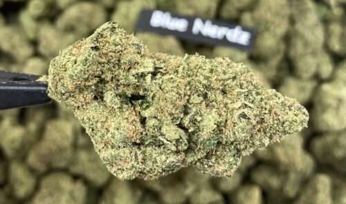 Blue Nerds