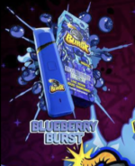 Blueberry Burst 2gram Disposable
