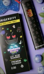 University Blueberry Slushy 2gram Disposable