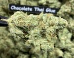 Chocolate Thai Glue