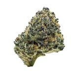 Exclusive Fish Scale 3.5gram