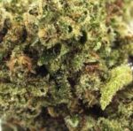 OG Lime Kush