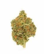 Exclusive DosiOrange 3.5g