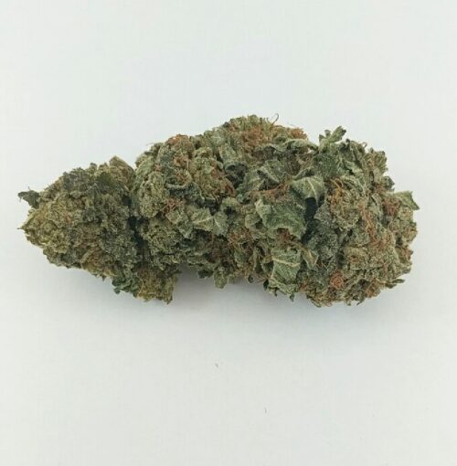 Skunk #1 GH