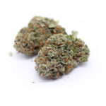 Exclusive Purple Kush x Cookies 3.5grams