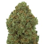 Exclusive Royal Luma 3.5grams