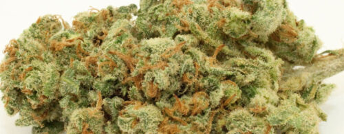 Chemdawg GH