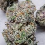 Exclusive Tagalongs 3.5grams