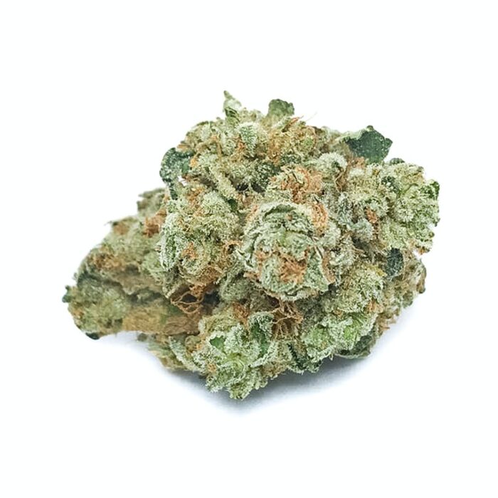 Wifi OG