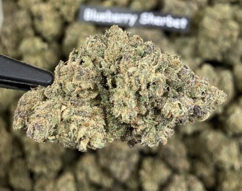 Blueberry Sherbet