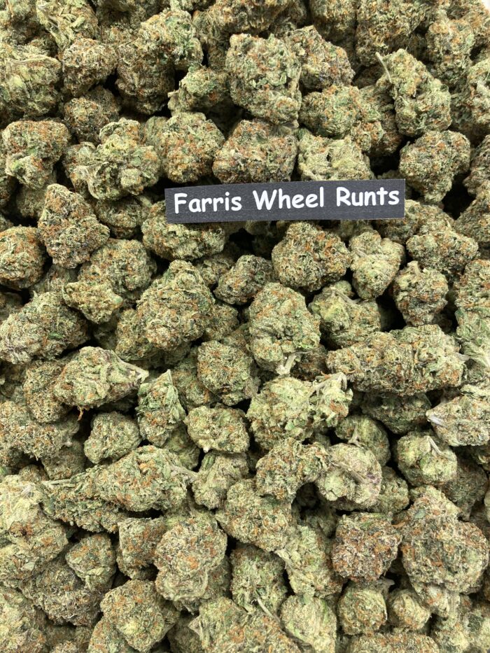 Ferris Wheel Runtz - Image 2