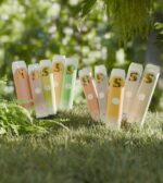 Sleeks 2gram Disposable