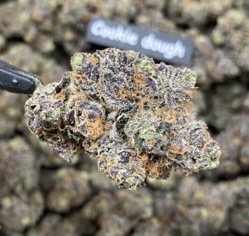 Cookie Dough