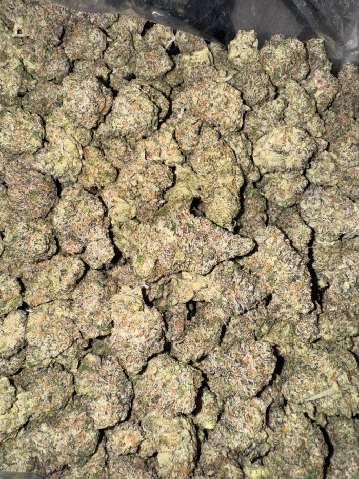 Exclusive Biscante 3.5gram - Image 2