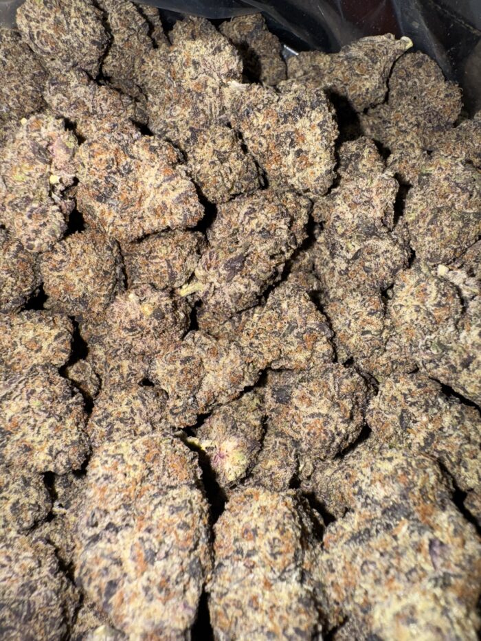 Exclusive Oil Spill Dosido 3.5gram - Image 3