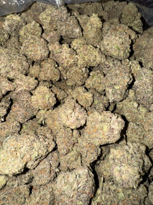Exclusive Zerealz 3.5gram