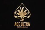Ace Ultra Premium Diamond Sauce 2g Dispoables