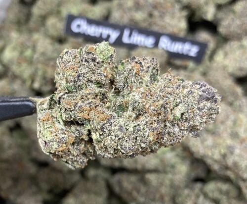 Exclusive Cherry Lime Runtz 3.5g