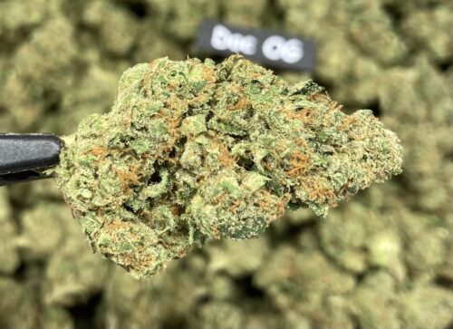 Doc OG