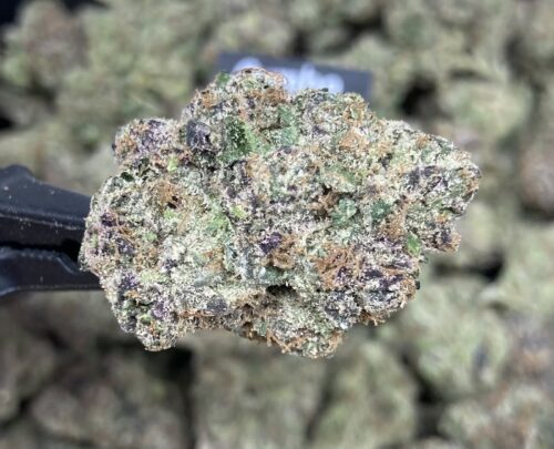 Exclusive Gumbo 3.5gram