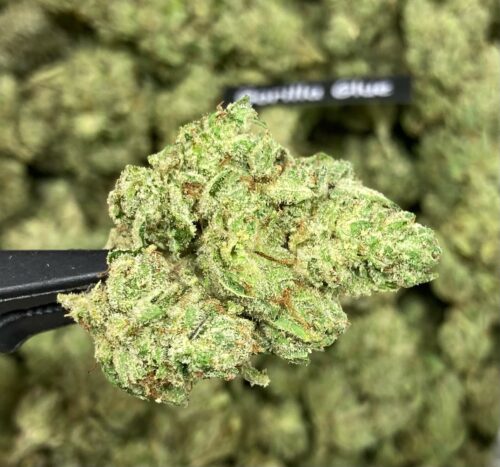 Gorilla Glue